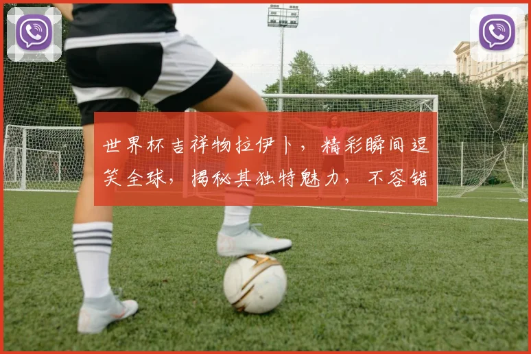 世界杯吉祥物拉伊卜，精彩瞬间逗笑全球，揭秘其独特魅力，不容错过