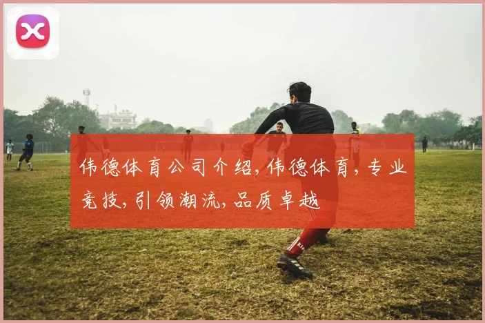 伟德体育公司介绍,伟德体育,专业竞技,引领潮流,品质卓越