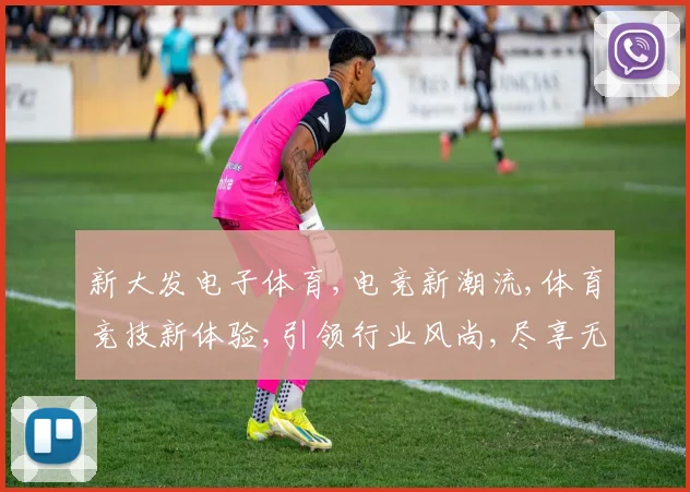 新大发电子体育,电竞新潮流,体育竞技新体验,引领行业风尚,尽享无限精彩